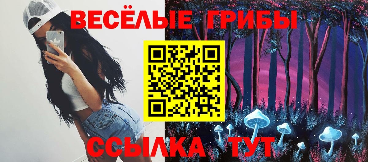 Саратов  как найти наркотики  Вход с VPN  Псилоцибиновые грибы мухоморы 